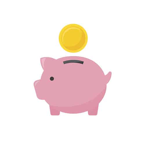 Budget Roller Banner