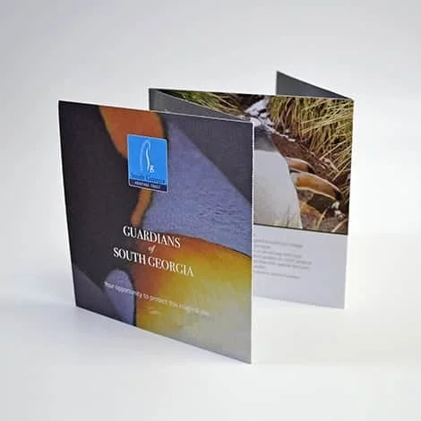 Quad fold leaflet
